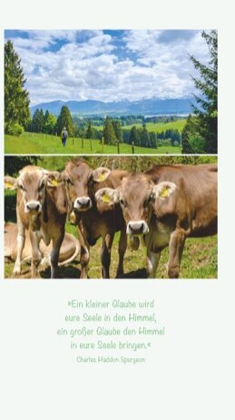 Einfach glücklich wandern – Allgäu von Wilfried und Lisa Bahnmüller Einfach glücklich wandern – Allgäu von Wilfried und Lisa Bahnmüller