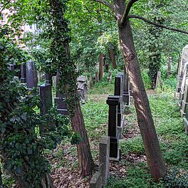 Grabsteine im alten jüdischen Friedhof Fürth inmitten wilder Vegetation
