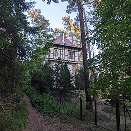 Turm im Stadtwald Fuerth