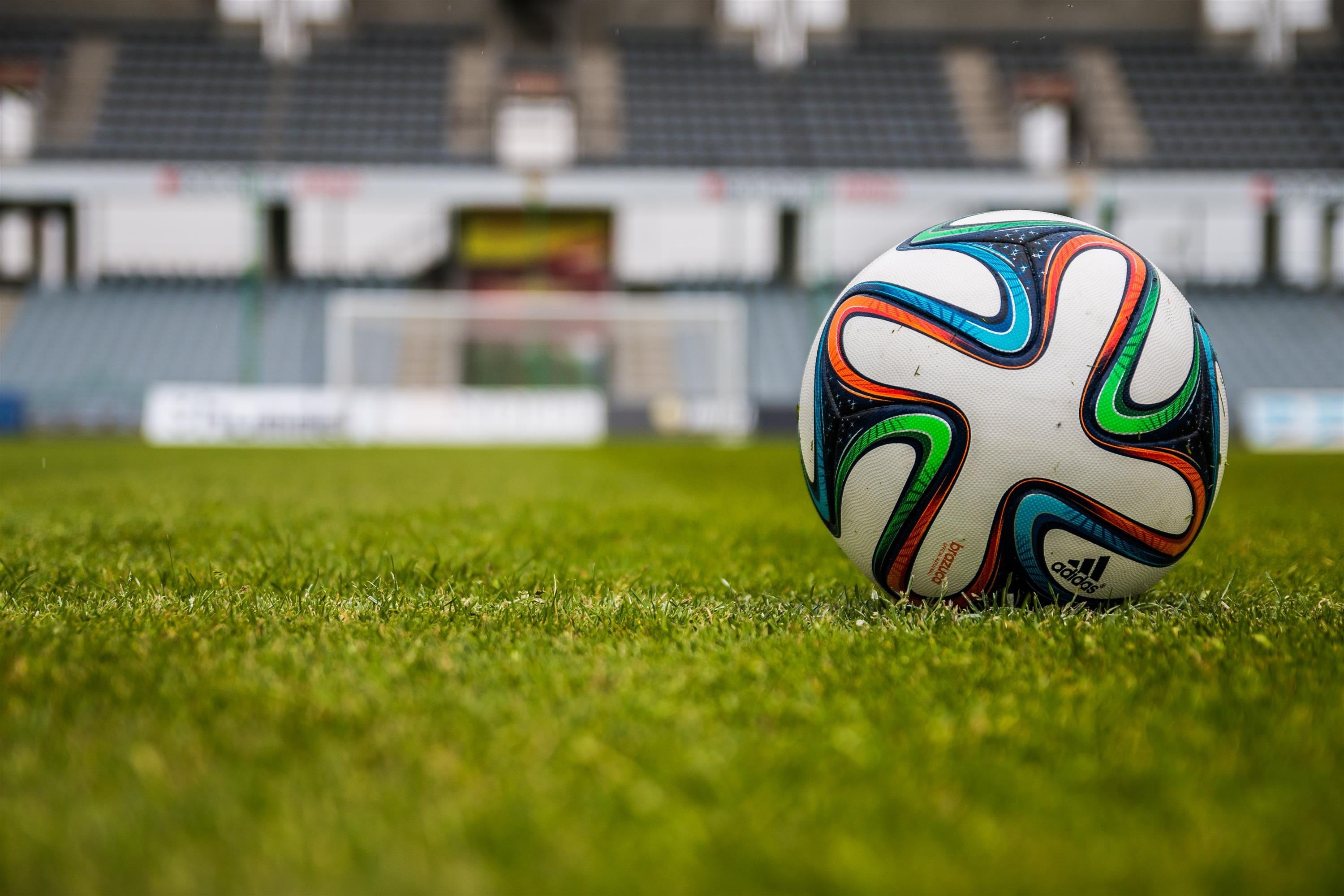 WM-Fieber in Bayern hautnah miterleben