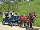 Pferdekutschenfahrt in Sonthofen im Allgäu Pferdekutschenfahrt in Sonthofen im Allgäu