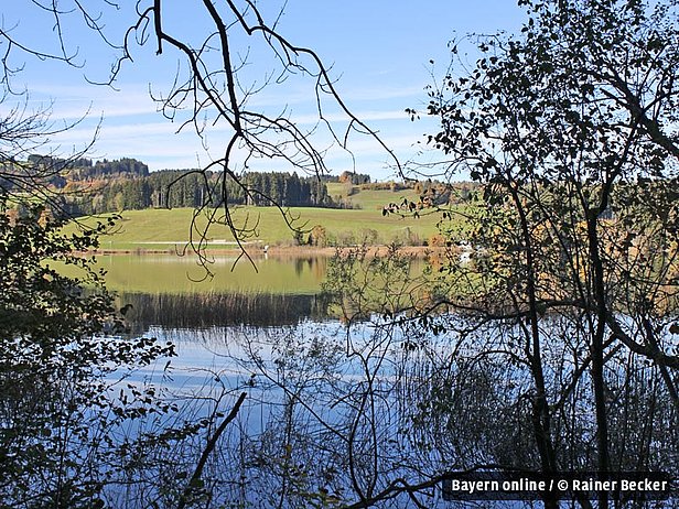 Natur in Waltenhofen im Oberallgäu Natur in Waltenhofen im Oberallgäu