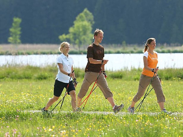 Nordic Walking in Ingolstadt
