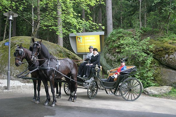 Kutschfahrten in Ludwigstadt im Frankenwald