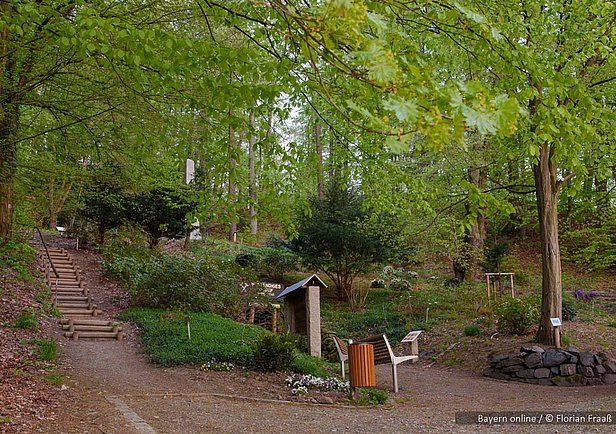 Dendrologischer Garten in Bad Berneck im Fichtelgebirge