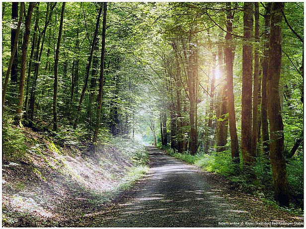 Kaskadental in Bad Kissingen Kaskadental in Bad Kissingen