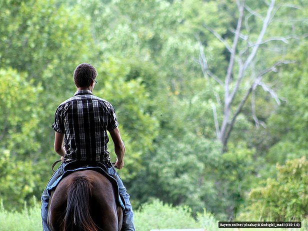 Reiten rund um den Chiemsee Reiten rund um den Chiemsee