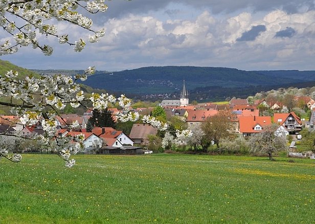 Oberehrenbach zur Kirschblüte