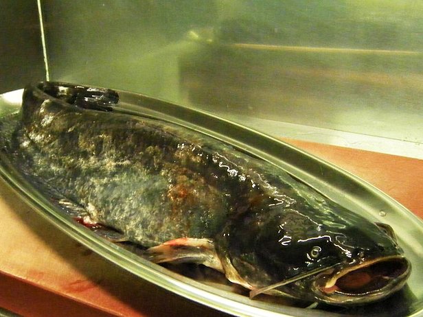 Fisch essen in Würzburg Fisch essen in Würzburg