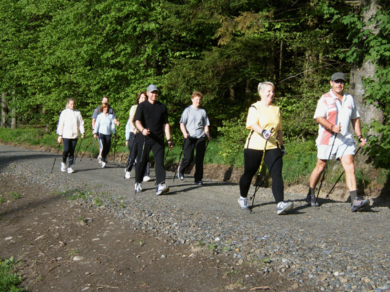 Nordic Walking in Steinbach am Wald im Frankenwald