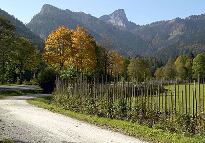 Wanderwege rund um Schleching im Chiemgau