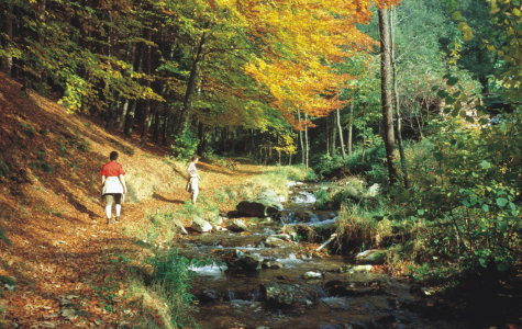 Wandern im Fichtelgebirge Wandern im Fichtelgebirge