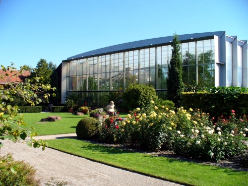 Pflanzenwelt unter Glas im Botanischen Garten in Augsburg