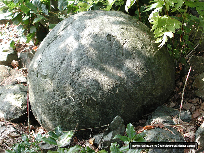 Gesteine Im Botanischen Garten