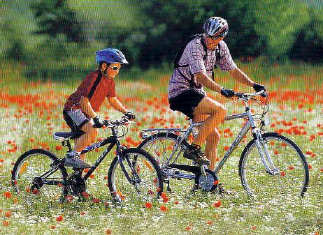 Radfahren und Mountainbiken rund um Grassau