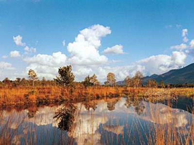 Naturschutzgebiete in Grassau am Chiemsee
