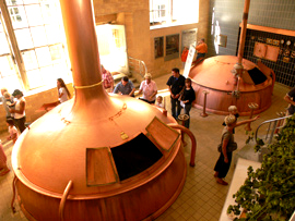 Das Hofer Bier (Sudhaus Scherdelbräu)