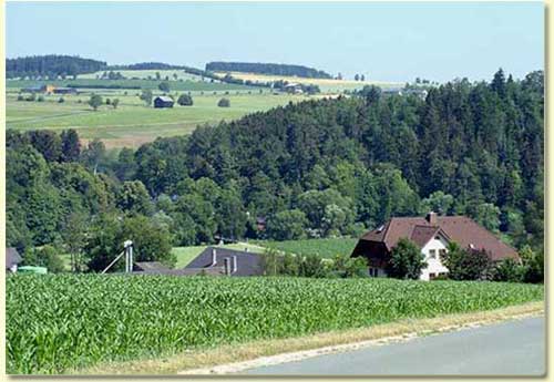 Saalegrund bei Köditz im Frankenwald