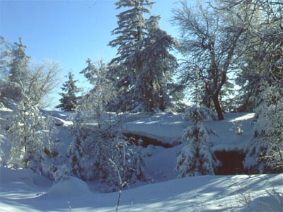 Winterwanderung in Arzberg im Fichtelgebirge